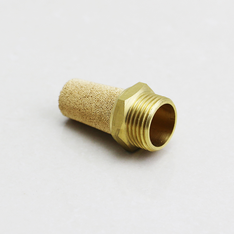 PSA Silencer (3)